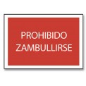 PROHIBIDO ZAMBULLIRSE