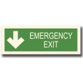 EMERGENCY EXIT WITH DOWN ARROW