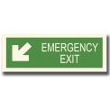 EMERGENCY EXIT WITH DOWN ARROW LEFT