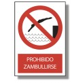 PROHIBIDO ZAMBULLIRSE